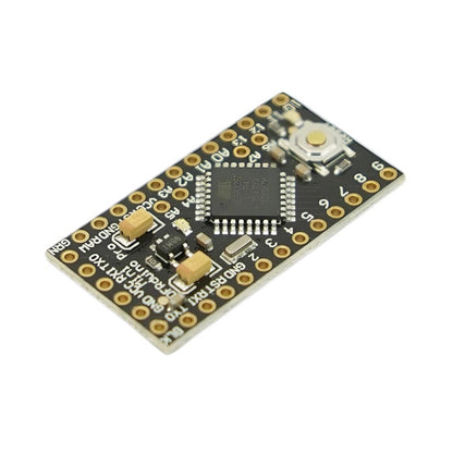 DFRduino Pro Mini V1.3 development board