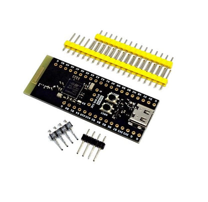 WeAct Studio STM32WB55CGU6 Development Board