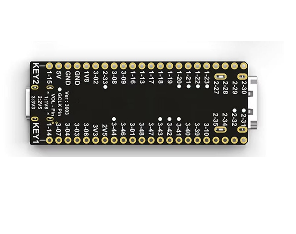 Sipeed Lichee Tang Nano 4K Gowin Minimalist FPGA GoAI Develop-ment Board HDMI Camera
